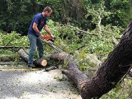Best Lawn Grading and Leveling  in Mead Valley, CA